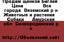 Продам щенков Биглей › Цена ­ 15 000 - Все города, Вяземский р-н Животные и растения » Собаки   . Амурская обл.,Сковородинский р-н